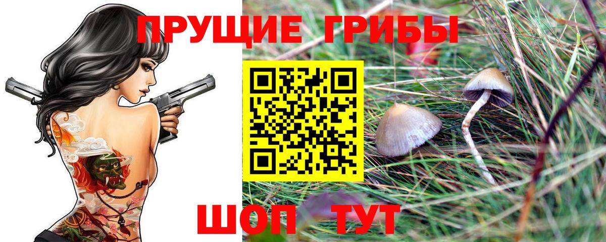 дарнет шоп  Псилоцибиновые грибы Psilocybine cubensis  Вход с VPN  Екатеринбург 